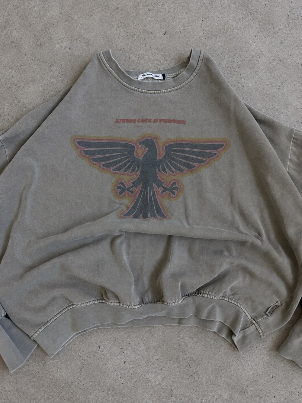 The Laundry Room Tanish Grey Crewneck with Eagle Graphic